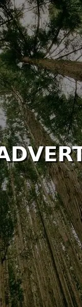 Skyscraper (Left) – Demo Ad