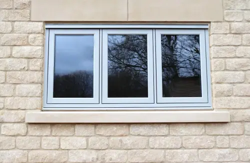 Collection Conceals The Coyote Ugly